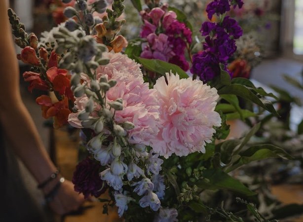 Image 2025-07-18 at 3.03 PM.jpeg