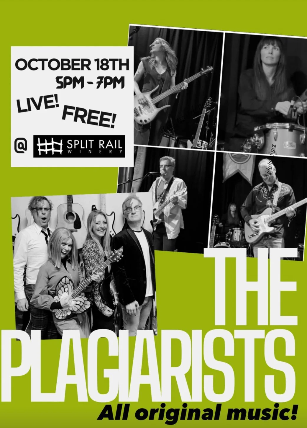 TASTING ROOM OPEN - THE PLAGIARISTS!! All Original Music 5pm-7pm!!