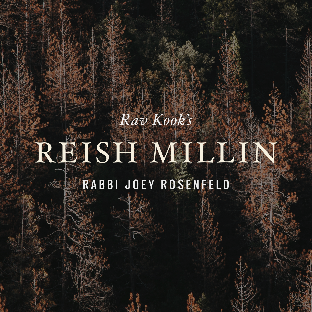 Book cover titled "Reish Millin" by Rav Kook, with a background image of a forest with tall trees, some of which have brownish foliage.