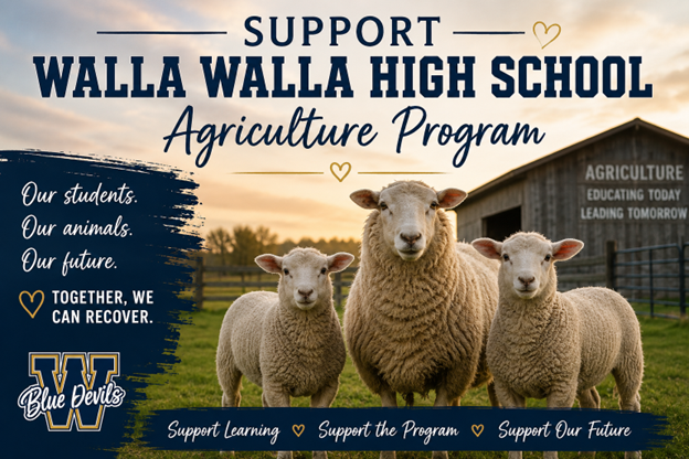 Fundraiser Established to Support WaHi Agriculture Program Following Sheep Tragedy