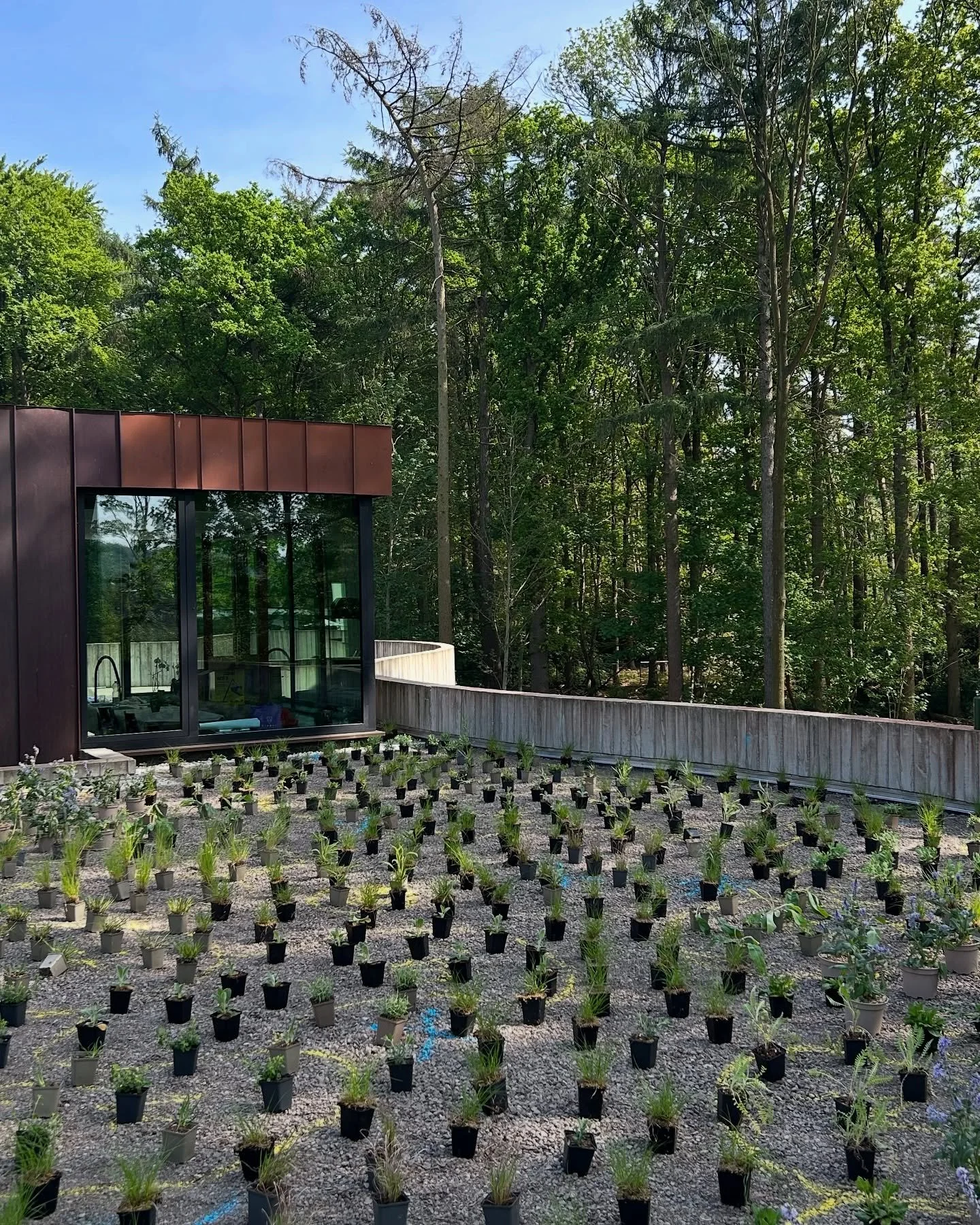Great day today! Wonderful work and good to be outside again. On the pictures you can see the process!

Setting out plants for a project of @tom_de_witte_ 

#garden #gardendesign #tomdewitte #design #biodiversity #perennials #architecture #photograph