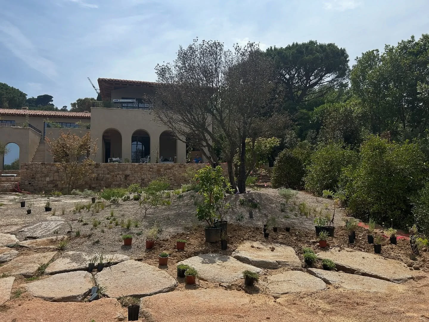 setting out plants at the project in Saint-Tropez 

project from @pietoudolf @tom_de_witte_ 
together with @livlineaholm @hortdamn 

architecture by @vos.design_official 

#landscapearchitecture #landscapedesign #perennialplants #landscapearchitect #