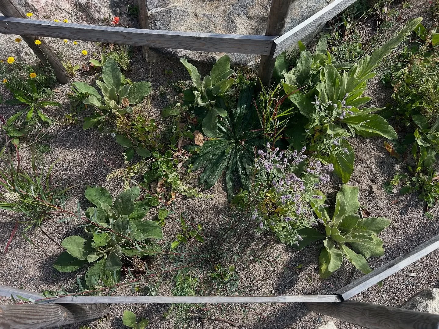 Back in Sweden. Last year I volunteered with Peter&rsquo;s team and this seriously opened my eyes. To come back here after a year, see the team and the nursery again and visit some of the projects again, feels very much like coming home. Thank you to