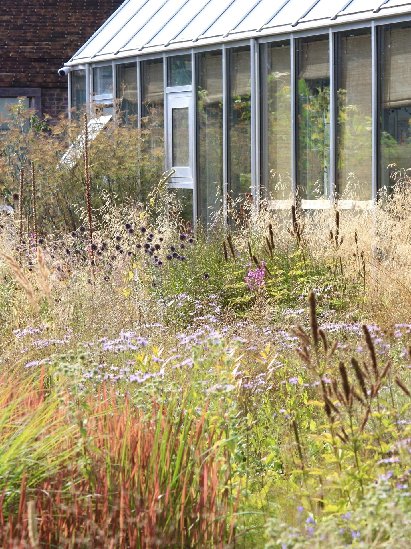 On the way back from our trip to Sweden, we stopped in Copenhagen. We visited Noma and got a private tour from my good friend @livlineaholm Noma&rsquo;s previous head gardener. It was beautiful to see the garden - designed by @pietoudolf - and the re