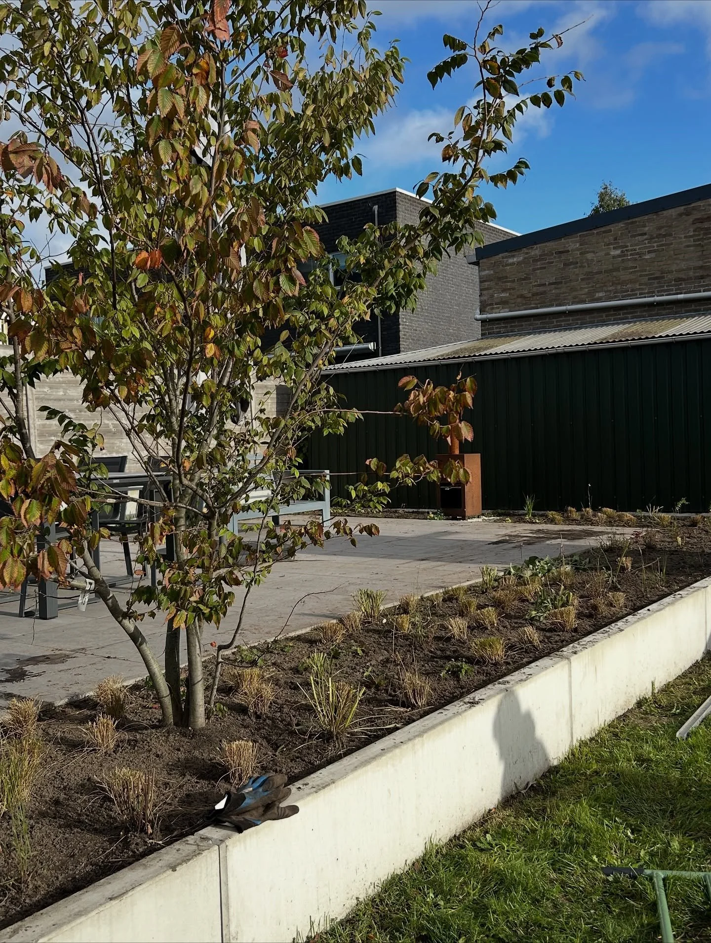 A very small project this time, but I&rsquo;m very curious about the result. 

The border at my grandmother&rsquo;s house, where I have learned a lot over the past few years, unfortunately had to make way for something else. Fortunately, I was able t