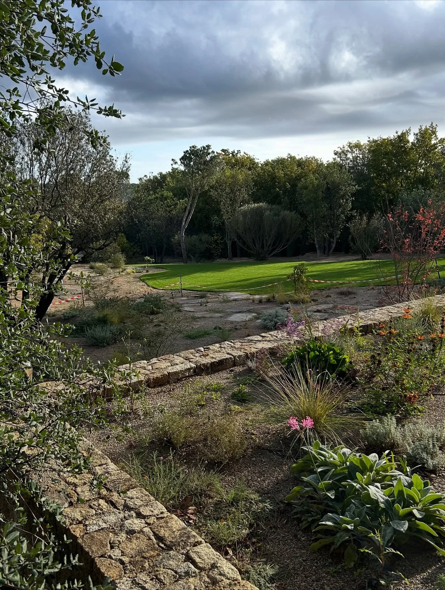 Another trip to Saint-Tropez. Work in progress.

project from @pietoudolf @tom_de_witte_ 
together with @livlineaholm @hortdamn 

architecture by @vos.design_official 

#landscapearchitecture #landscapedesign #perennialplants #landscapearchitect #gar