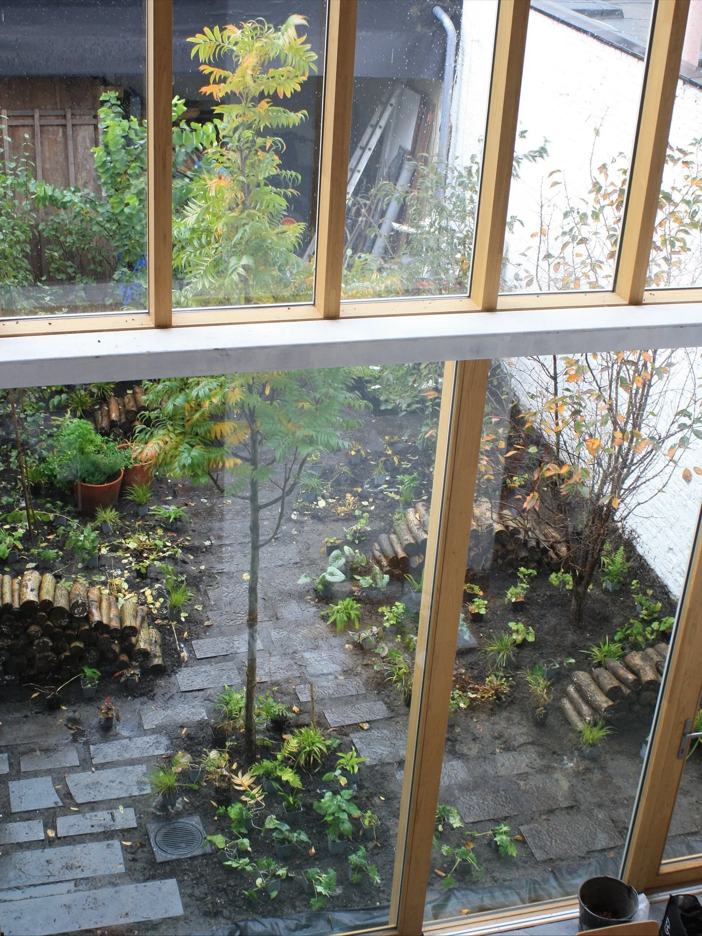 Update from the city garden in Antwerp.

Today we planted the herbaceous and flower bulb layer and also the climbing plants. The different layers are now all in place and I can&rsquo;t wait for next year! We couldn&rsquo;t do the ground cover between