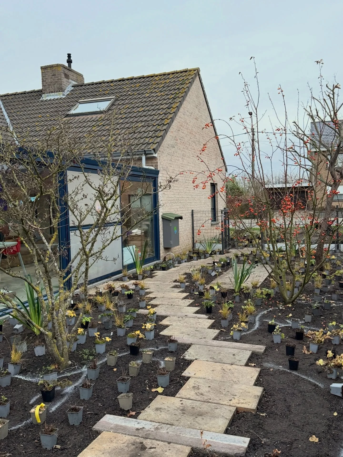 This project is my parents&rsquo; garden, which will be completely transformed into a trial/show garden. So I can really let my imagination run wild here! After years of dreaming and coming up with ideas, the time has finally come... the herb layer w