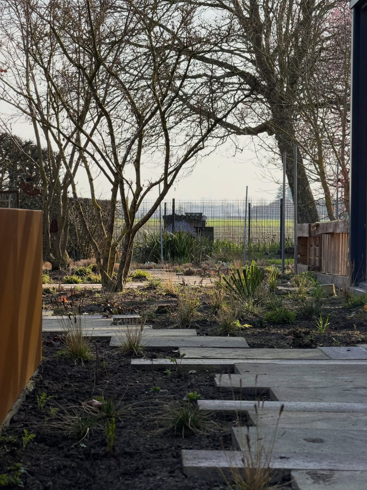 ready for spring!

#garden #gardendesign #design #biodiversity #perennials