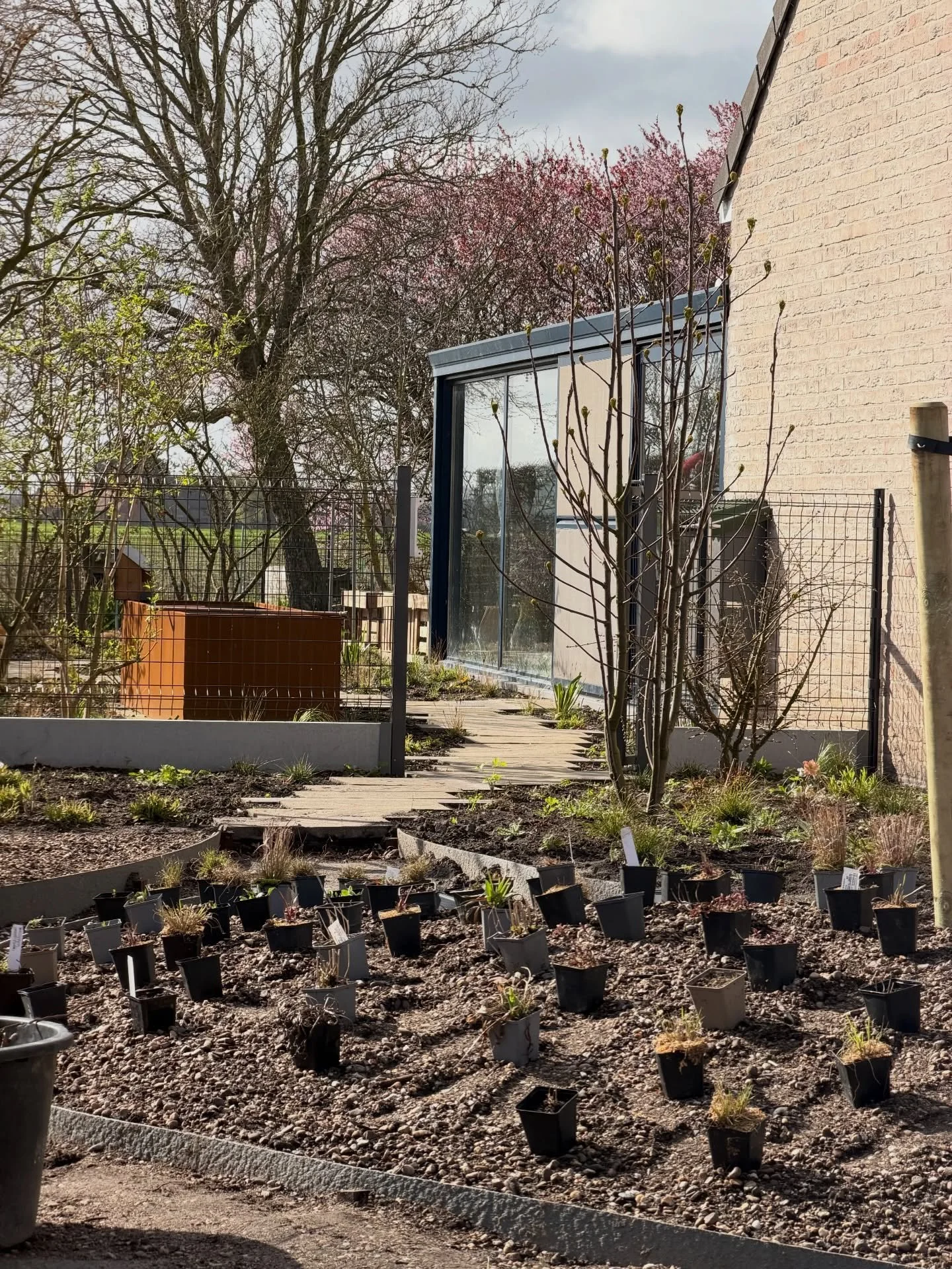 Today we finished the first area of the front garden. There&rsquo;s a big height difference which makes it interesting. Plants are all from the North-American prairies! 

#garden #gardendesign #design #biodiversity #perennials