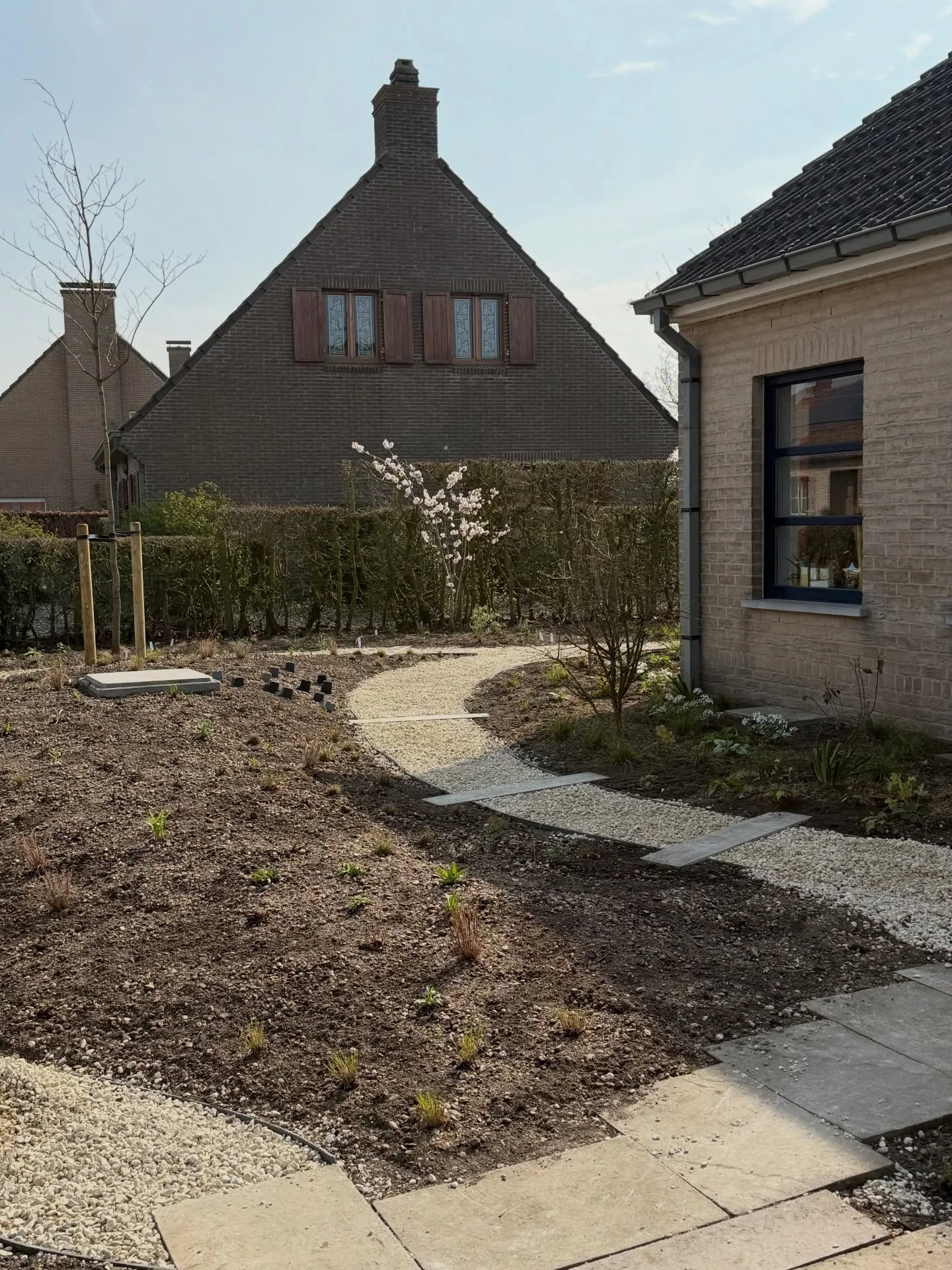 The process of making my own garden at my parents home&hellip; what a journey! 🤍

#garden #gardendesign #design #biodiversity #perennials
