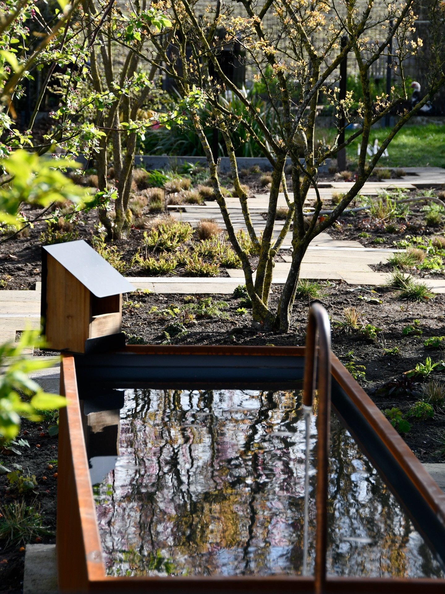 Project finished at my parents garden! 

#garden #gardendesign #design #biodiversity #perennials