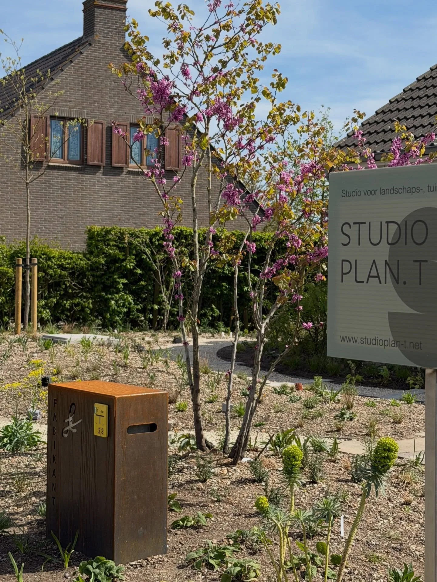 One of my favourite trees: Cercis siliquastrum. Leaves and flowers beautifully emerge together, just stunning!

#garden #gardendesign #design #biodiversity #perennials