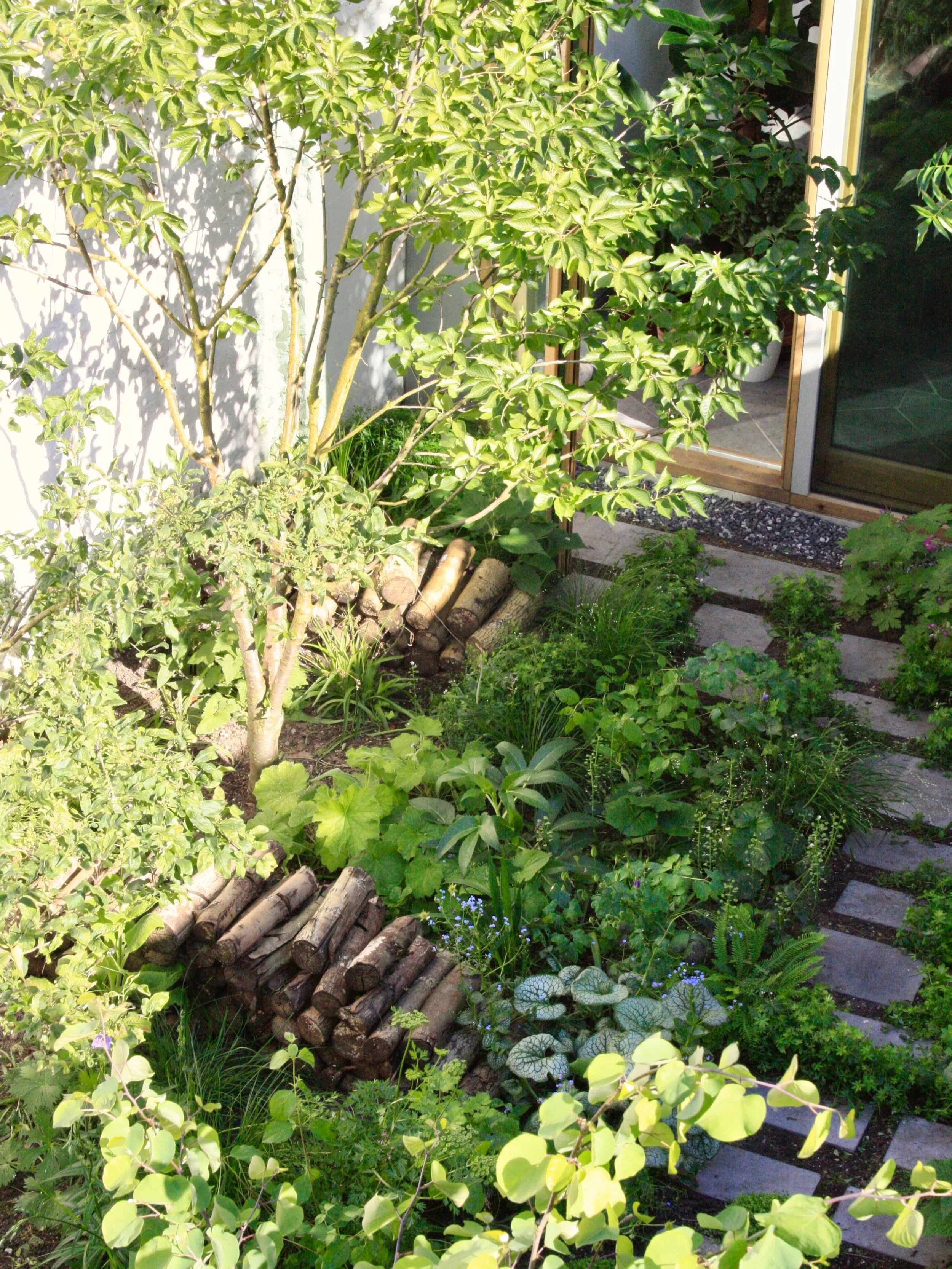 Yesterday I visited the urban garden in Antwerp that we landscaped together with the client last year. 

We worked together - in the warm weather🥵 - to maintain the garden and keep it on the right track. The plants are growing fantastically, maybe e