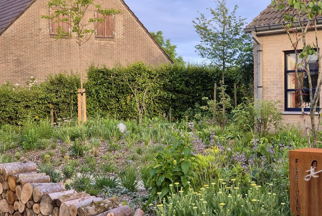 While my girlfriend and I are enjoying a trip to Mallorca, I received some photos of the newly landscaped garden at my parents&rsquo; house. They&rsquo;re really enjoying it, and that&rsquo;s my biggest motivation as a designer. 

The plants in the f