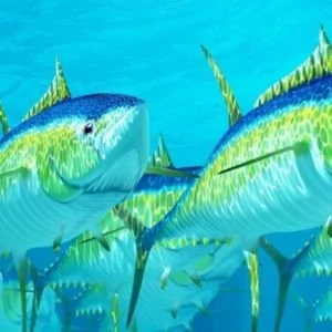 Qentol.Yen/ W̱SÁNEĆ Marine Guardians to present at IMPAC 5 Conference