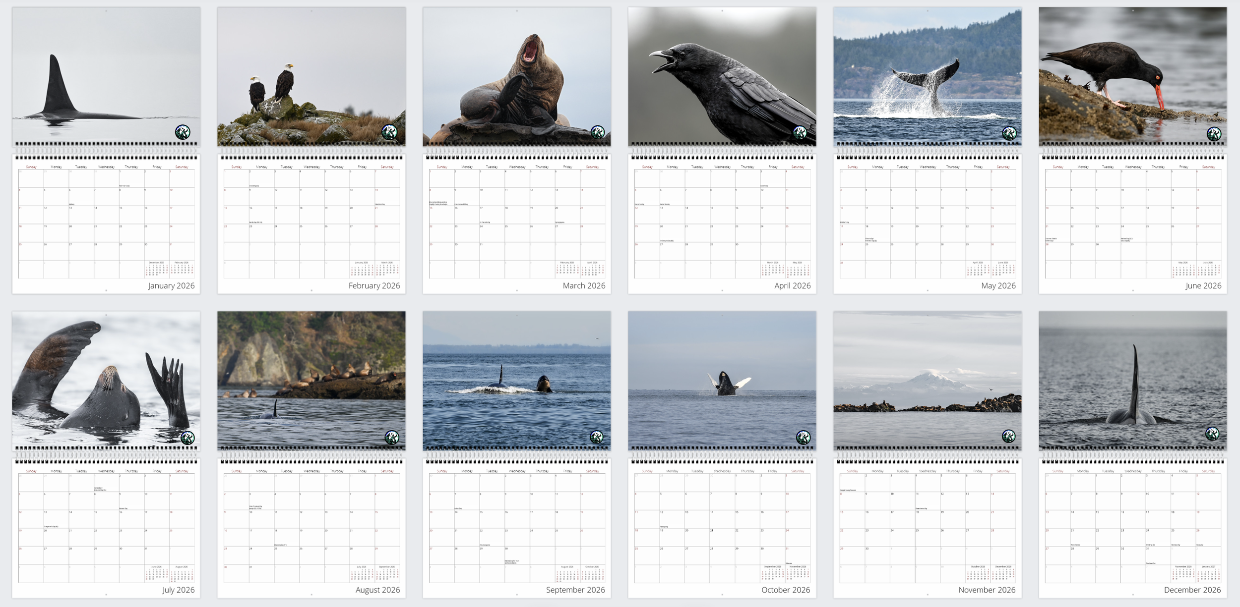 Screenshot 2025-10-15 at 8.37.58 AM.png