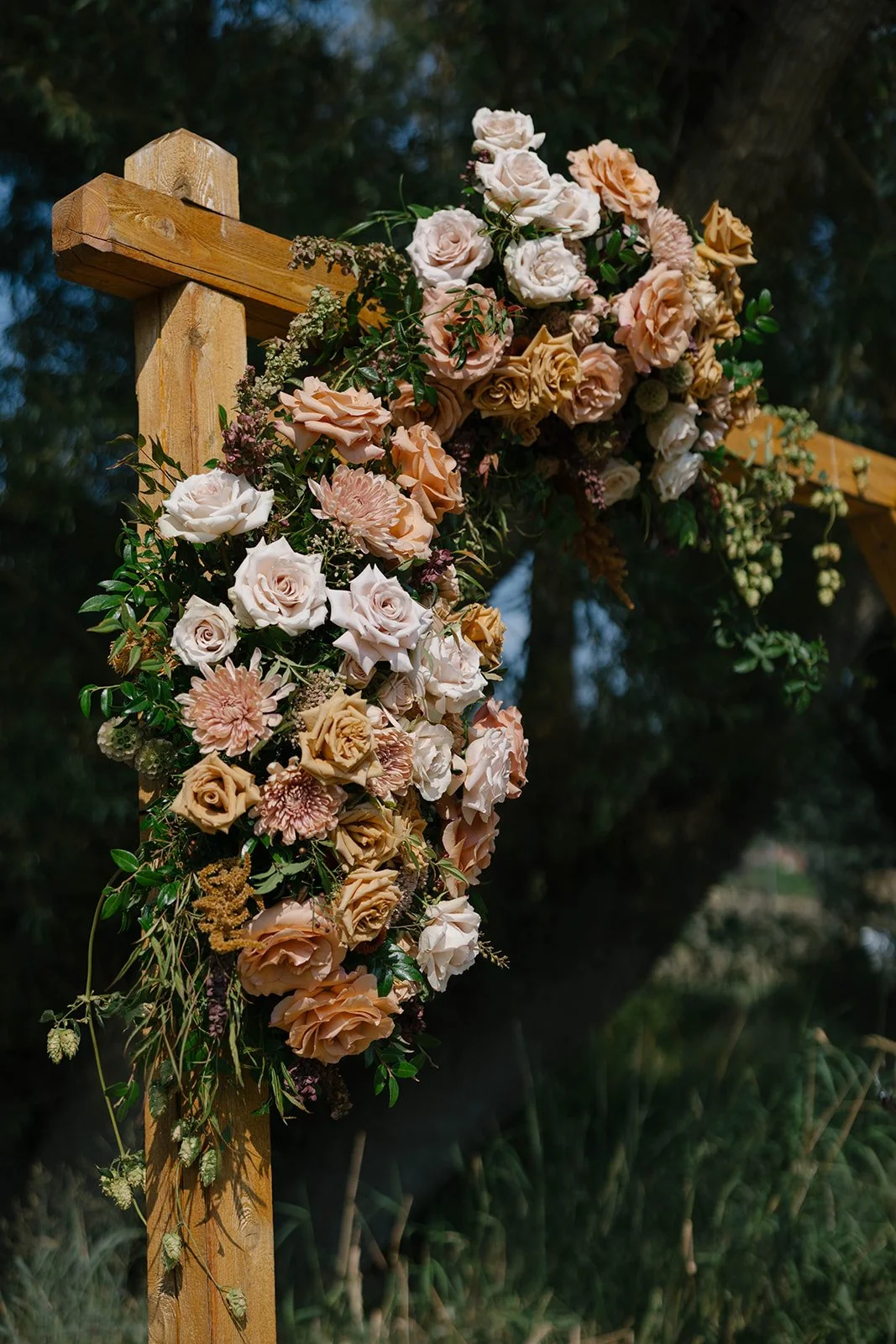 AI1A4361_websize (1).jpg