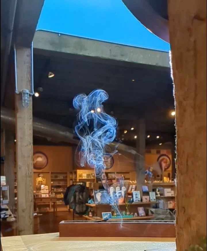 Local incense by Apollo! Come check out these incredible aromas made with pure essential oils. These meditation sticks are perfect for a long lasting burn! 
#apolloincense #saltlakecitybookstores #slcbookstores #slcartisan #utahartisan #slcincence #