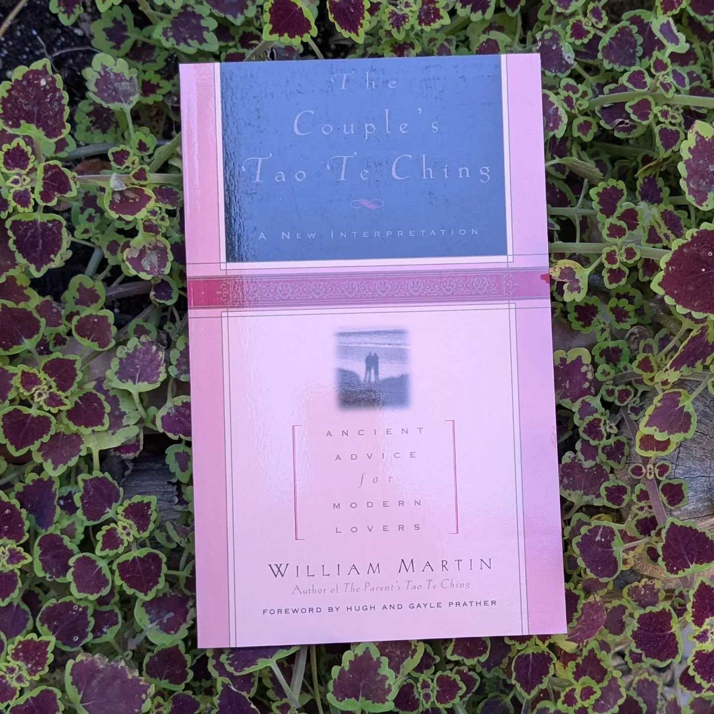 This one's for the love birds!
With the couples Tao Te Ching, William Martin beautifully re-interpreted Lao Tzu's Tao Te Ching- One of the world's oldest and most likely read books of wisdom. 
#thecouplestaoteching
#consciousliving #williammartinau