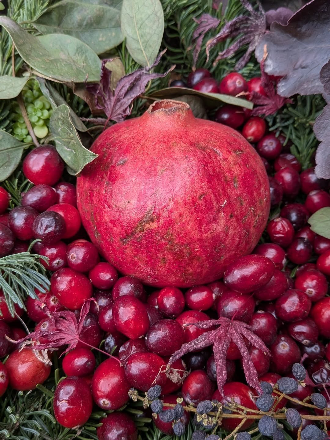 Happy Solstice 2025!