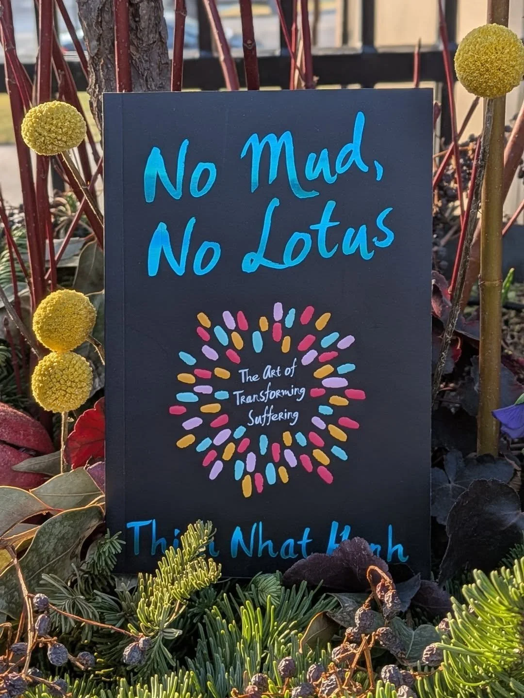 No Mud, No Lotus 
by Thich Nhat Hanh
 
In No Mud, No Lotus, Thich Nhat Hanh offers practices and inspiration for transformation suffering into true joy. He shares how the practices of stopping, mindful, breathing, and deep can concentration can gener