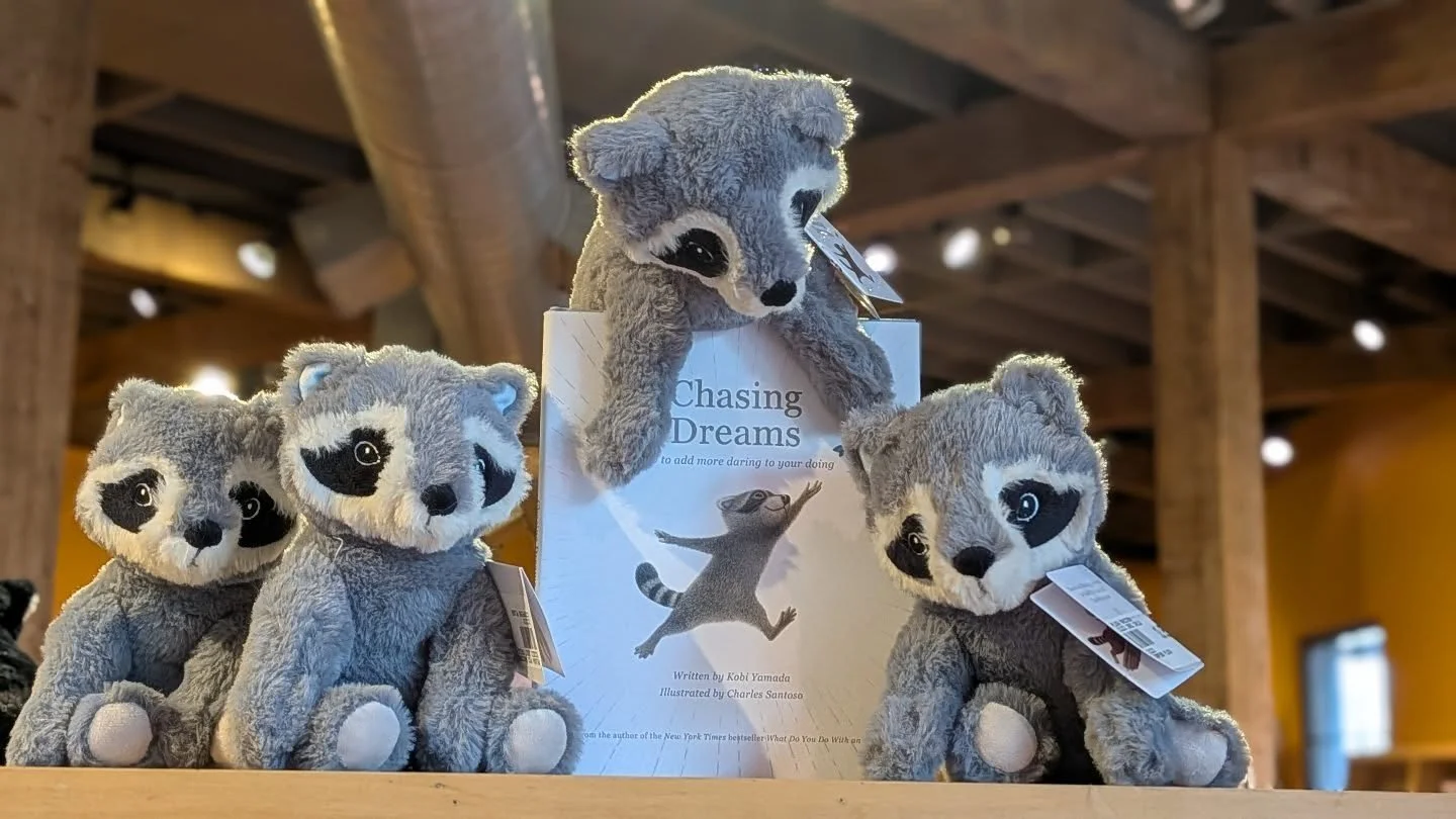 Chasing Dreams 
Written by Kobi Yamada
Illustrated by Charles Santoso 

#slclocalbookstore #utahbookstores #childrensbooks #utahkids #consciousliving