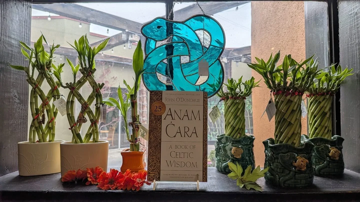 Anam Cara
A Book Of Celtic Wisdom 
by John O'Donohue

"In this revered classic, beloved poet and philosopher  John O'Donohue excavates themes of friendship, belonging, solitude, creativity, and the imagination, among many others. Widely recogniz