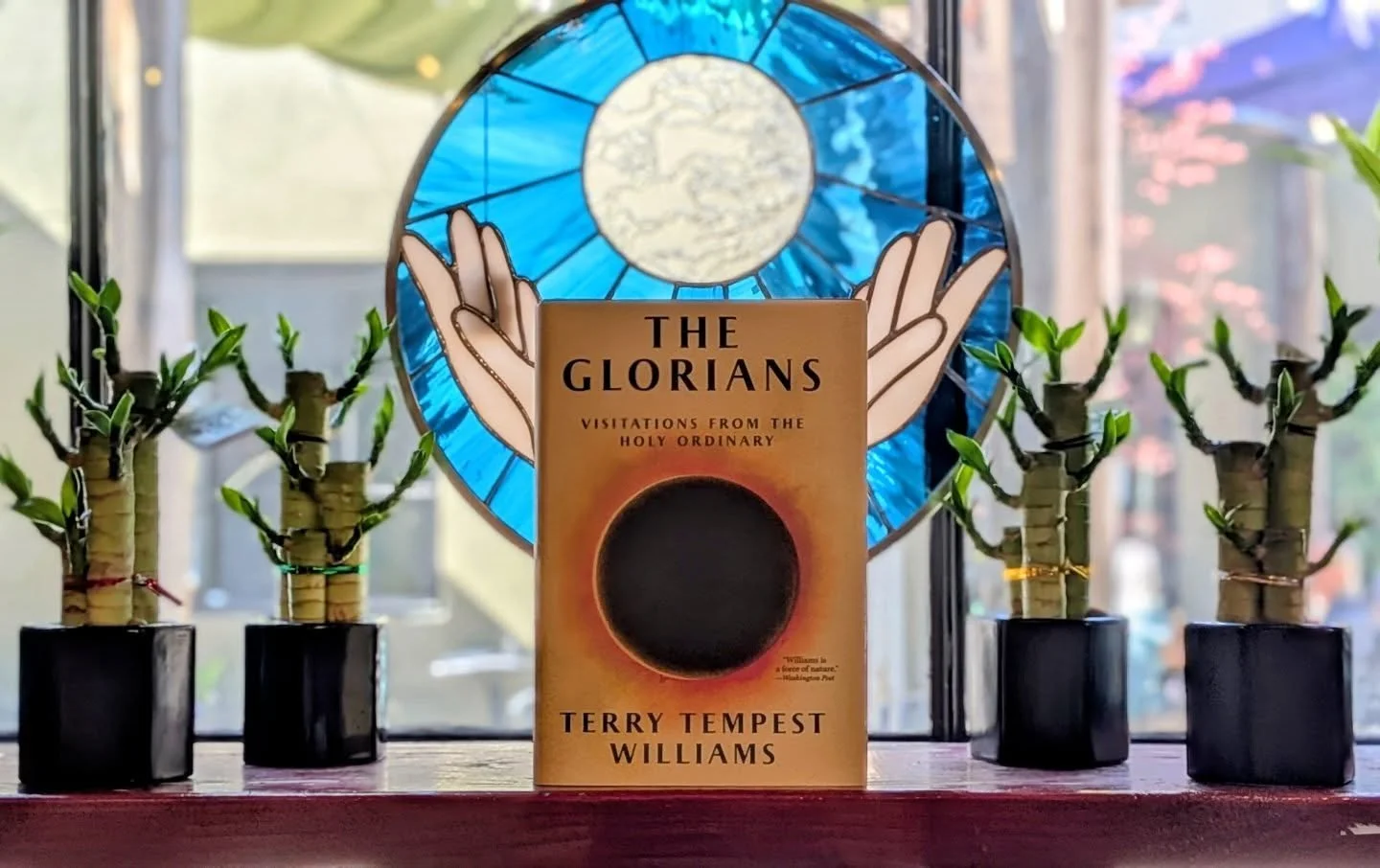 The Glorians
visitations from the holy ordinary 

by Terry Tempest Williams 

"In this time of political fragility, climate chaos, and seeking beauty wherever we can find it glimmers, Terry Tempest Williams introduces us to the Glorians. They ar