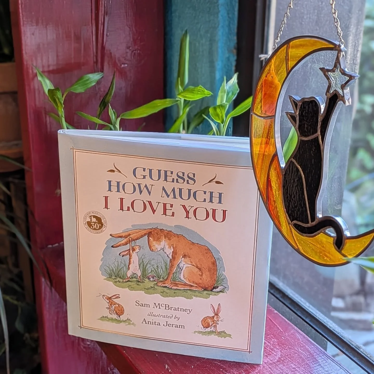 Guess How much I Love You

by Sam McBratney
Illustrated by Anita Jeram

"I love you right up to the moon- and back."

"sometimes, when you love someone very, very much, you want to find a way of describing how much you treasure them. B