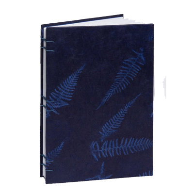 Indigo Fern