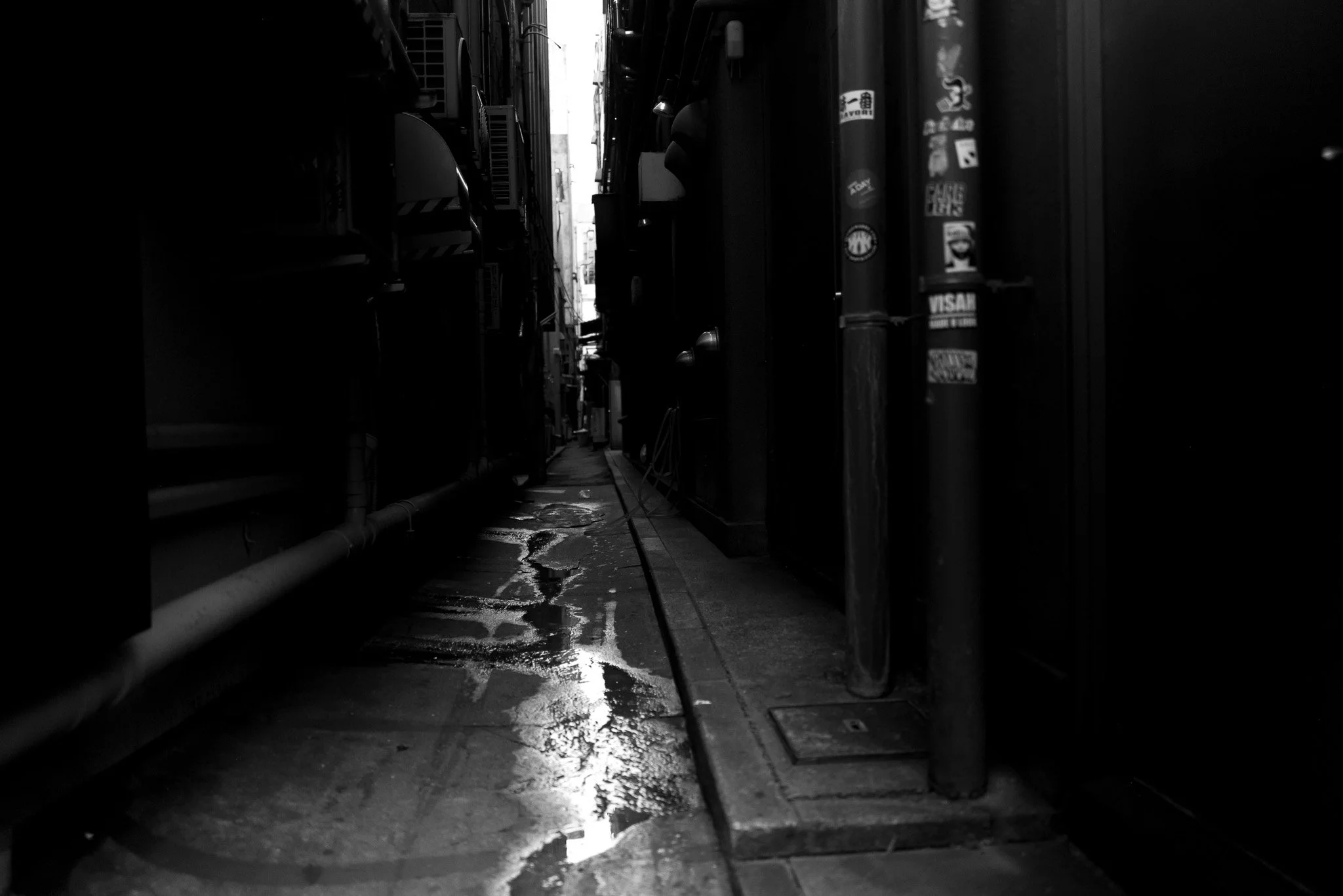L1006102-2.jpg