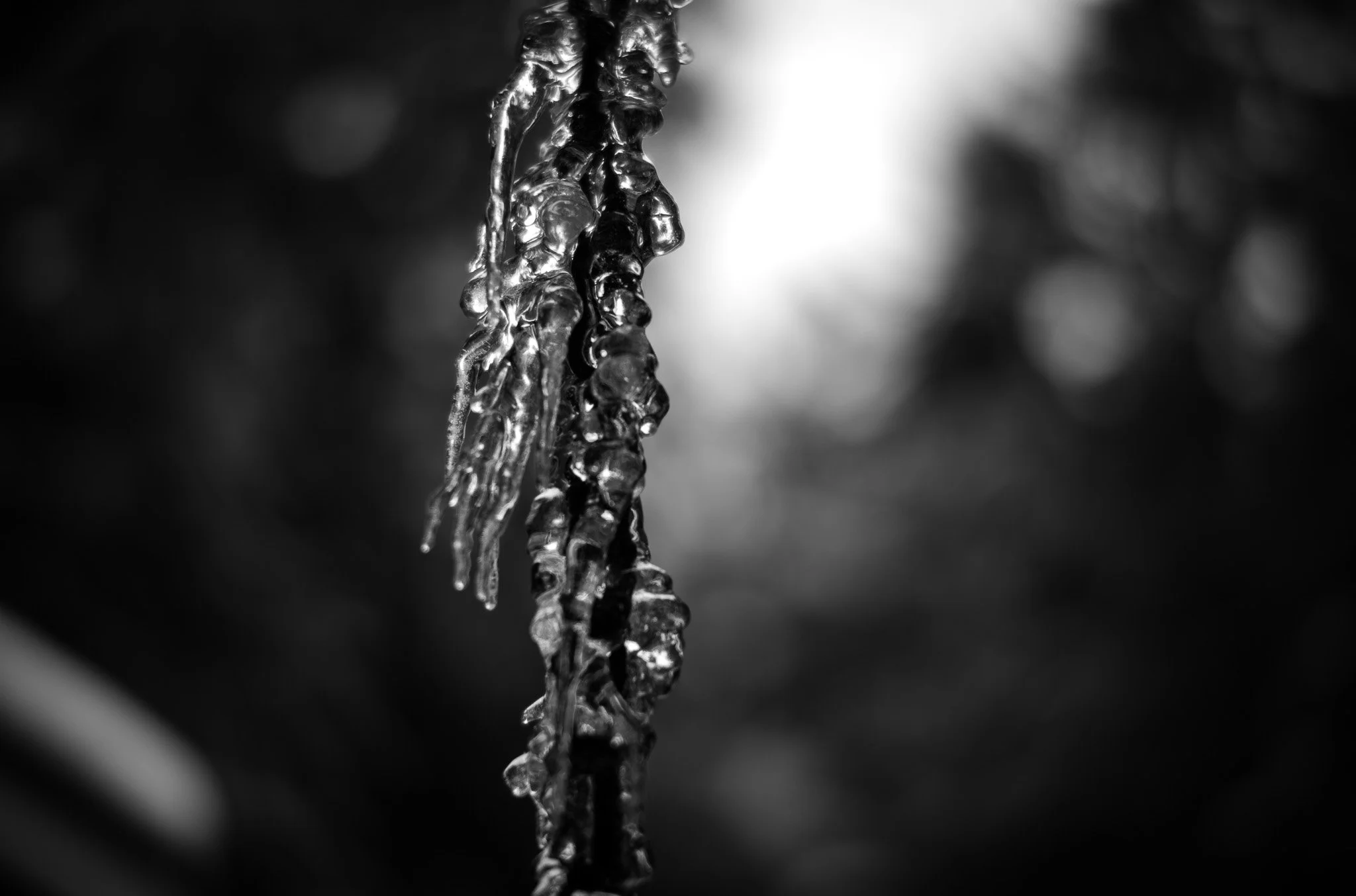 L1000510.jpg