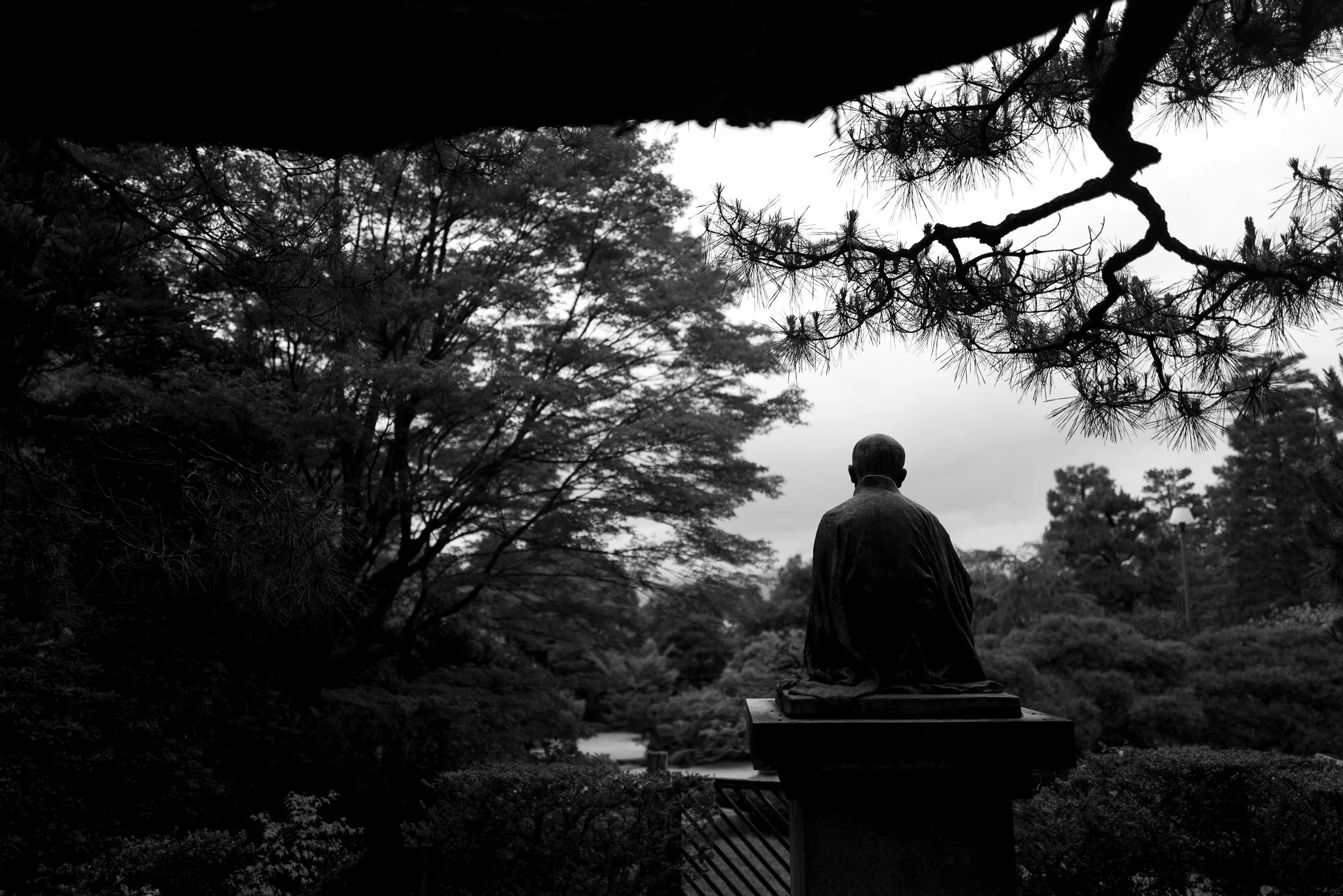 L1006691.jpg