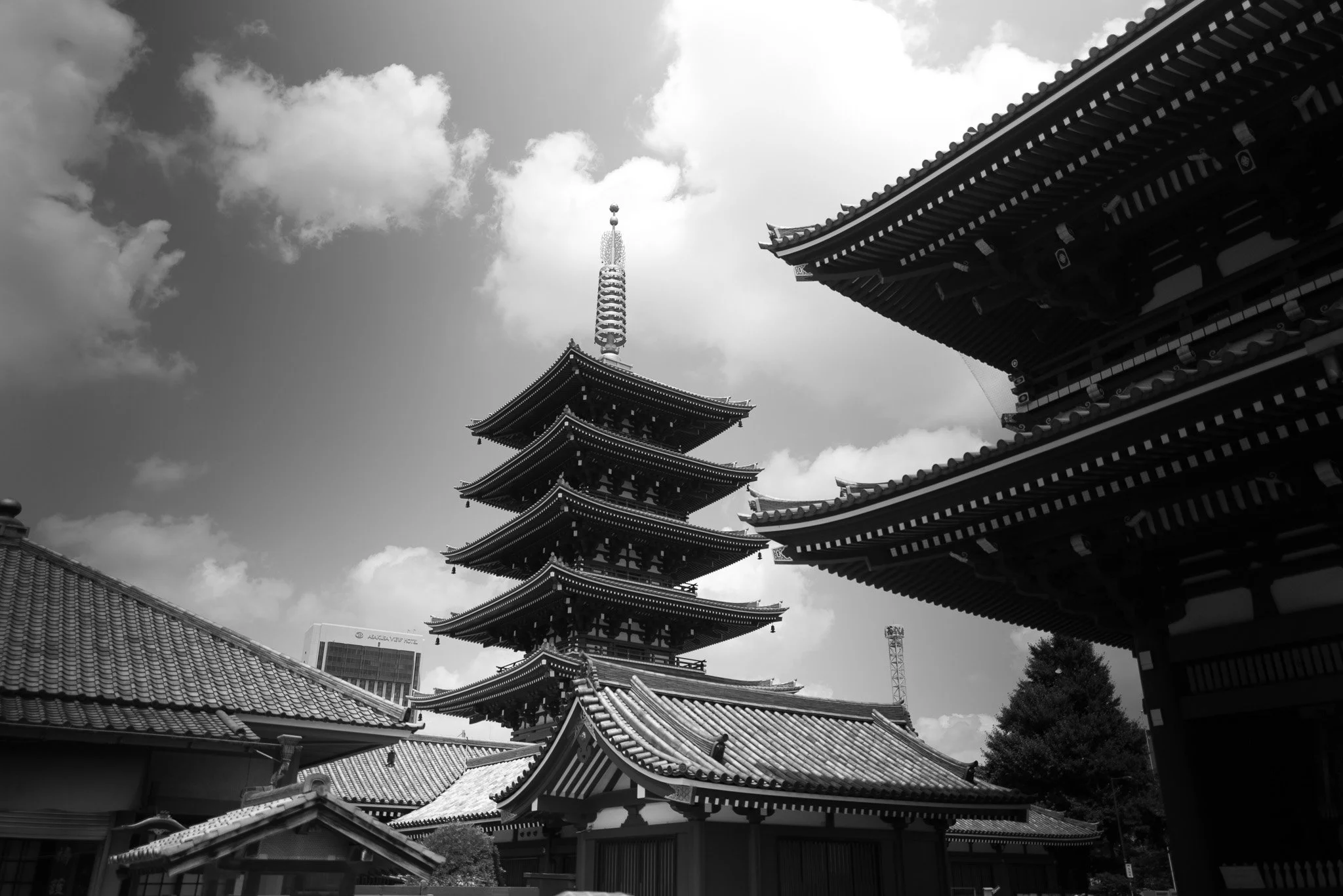 L1005877.jpg