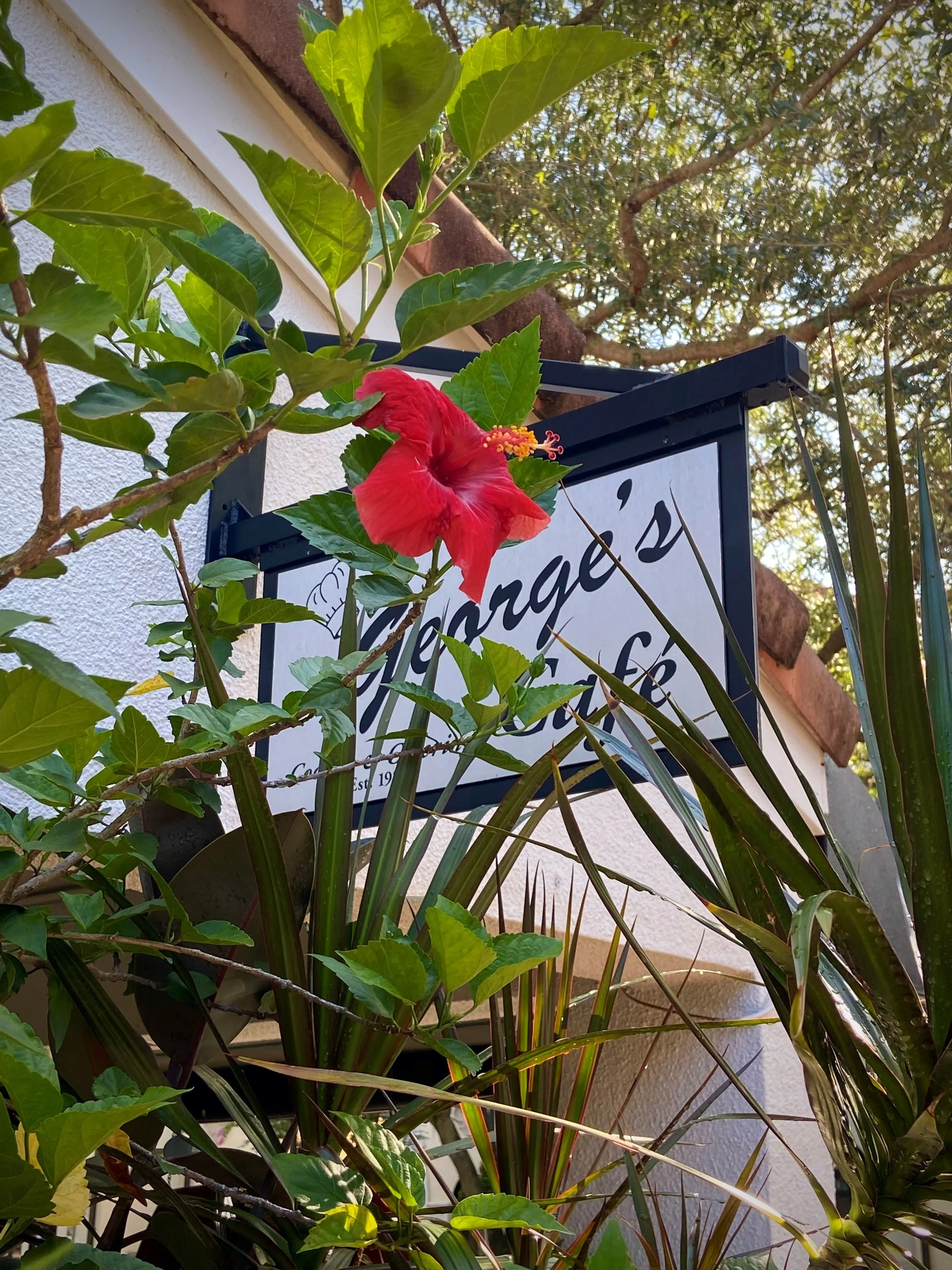 George's Cafe and Catering