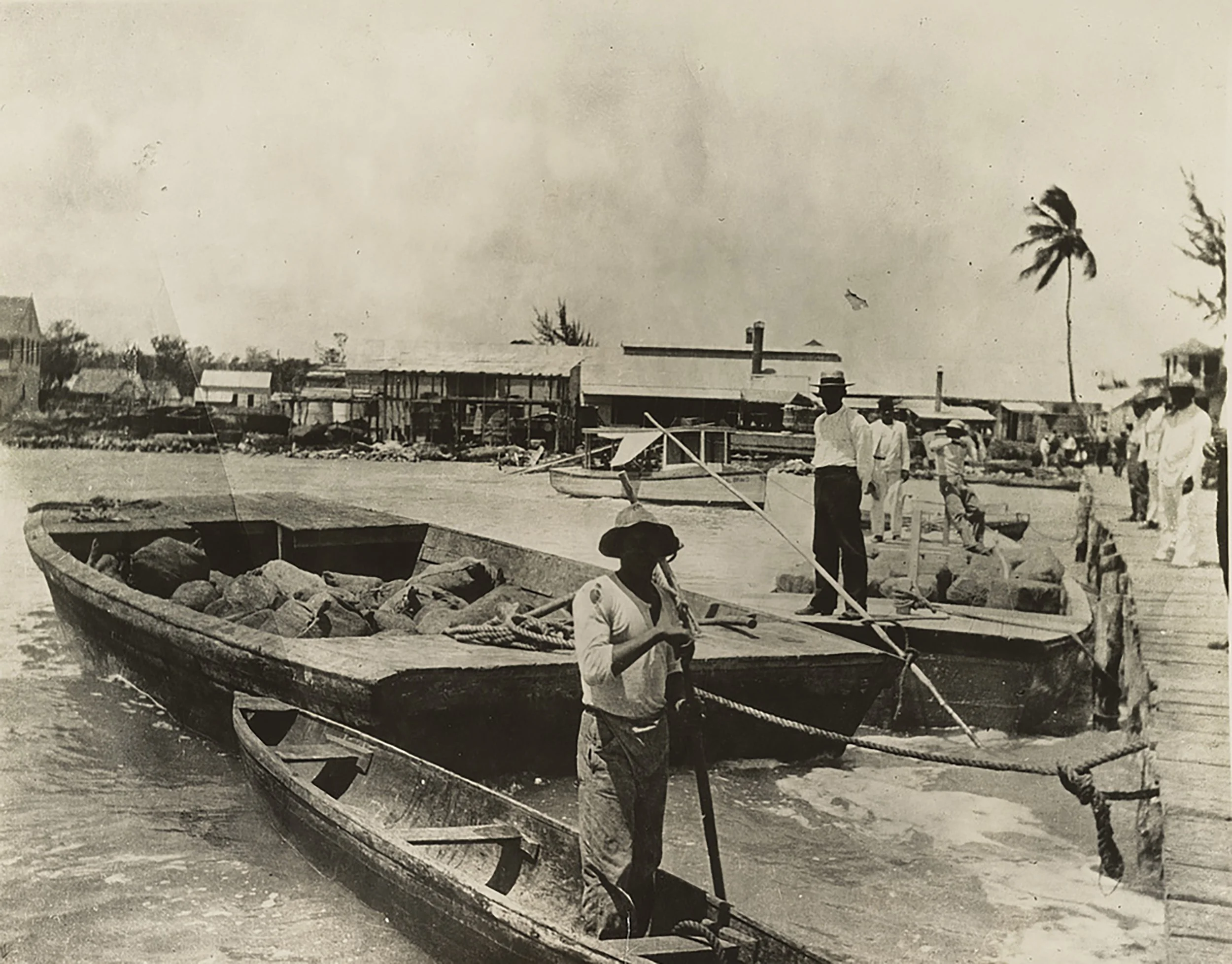 Historic photograph of men with barge-loads of bundled blocks of chicle in Belize Harbor, Belize dated 1919.