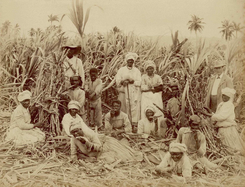 The Bahamas Genealogy | Caribbean Ancestry — Ancestors of Paradise