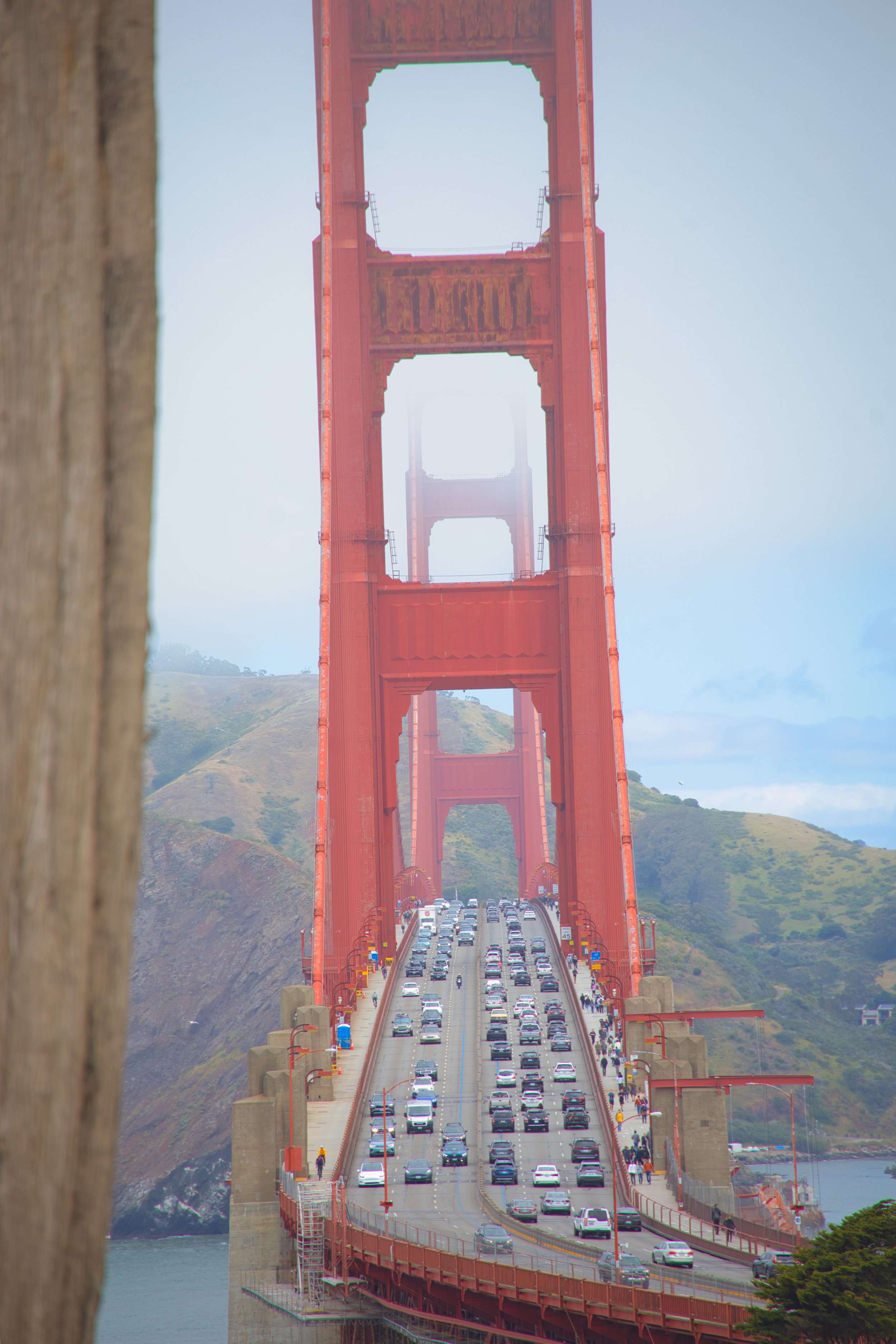 IMG_8884.jpeg