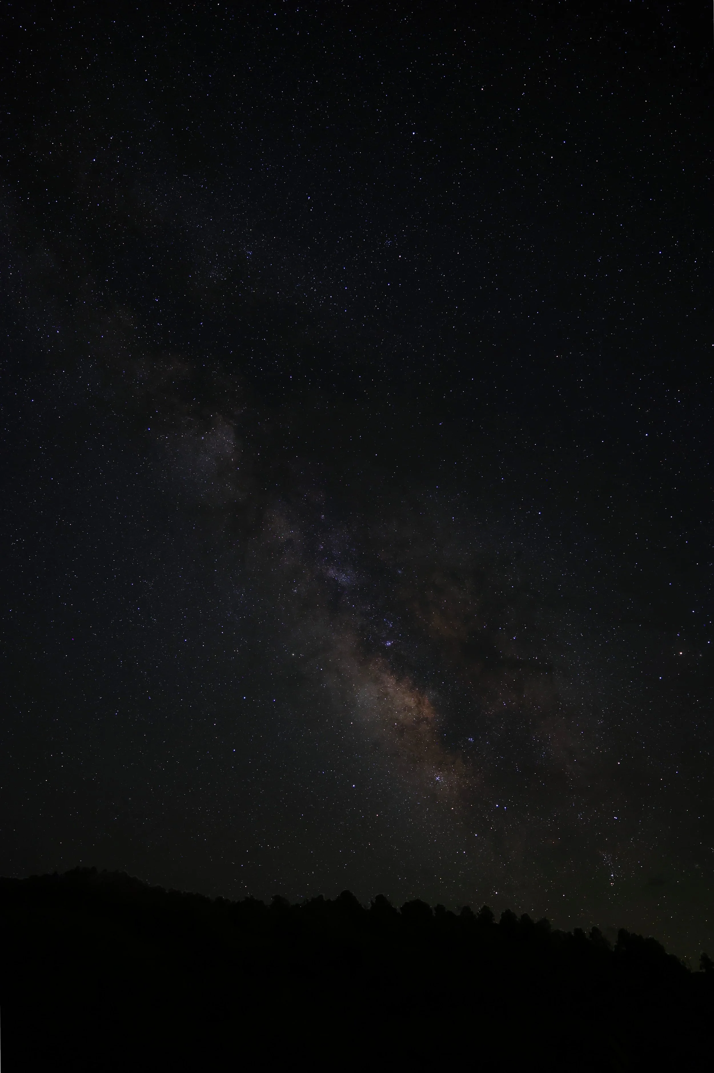 1T3A0045.jpg