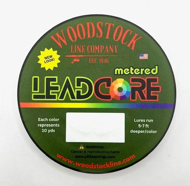 Lead 5-2024.jpg