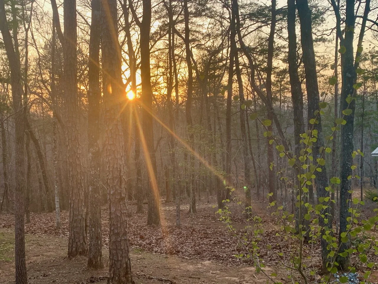 Well organized and well run retreat with attention to detail! Beautiful setting conducive to self reflection!