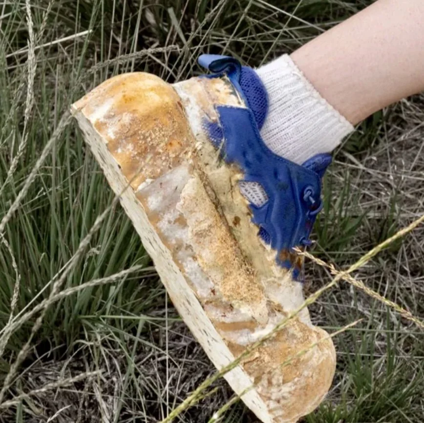 Mending with Mycelium: A Sustainable Fashion Revolution