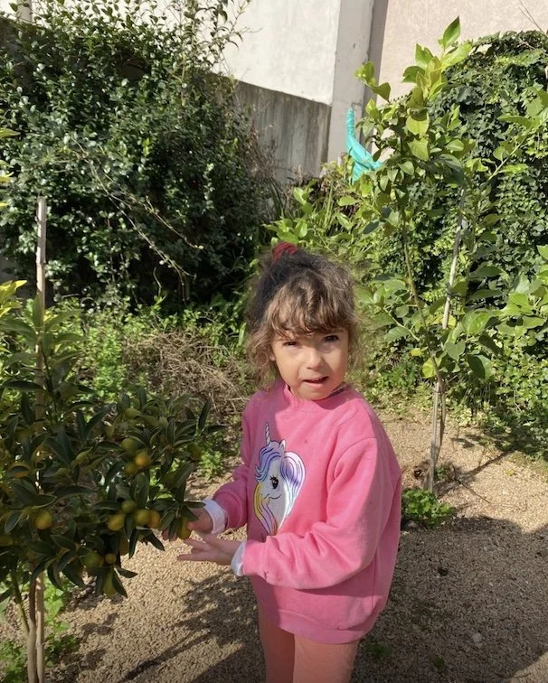 Image 9-18-25 at 12.06 PM.jpeg