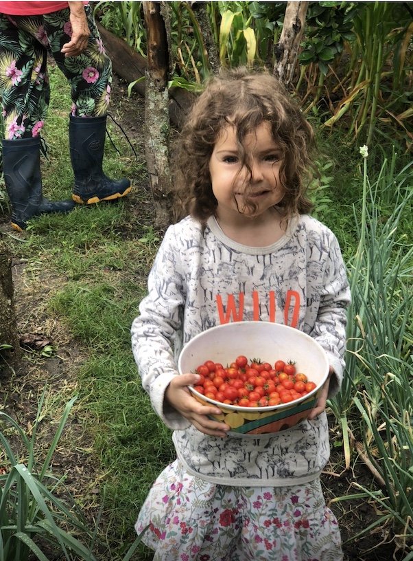 Image 9-18-25 at 12.00 PM.jpeg