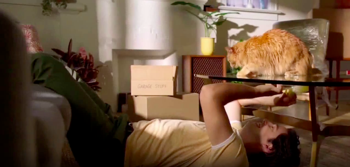 Screen Shot 2022-10-15 at 9.58.52 AM.png