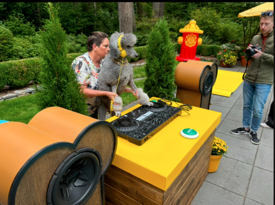 Screen Shot 2025-02-27 at 6.57.02 PM.png