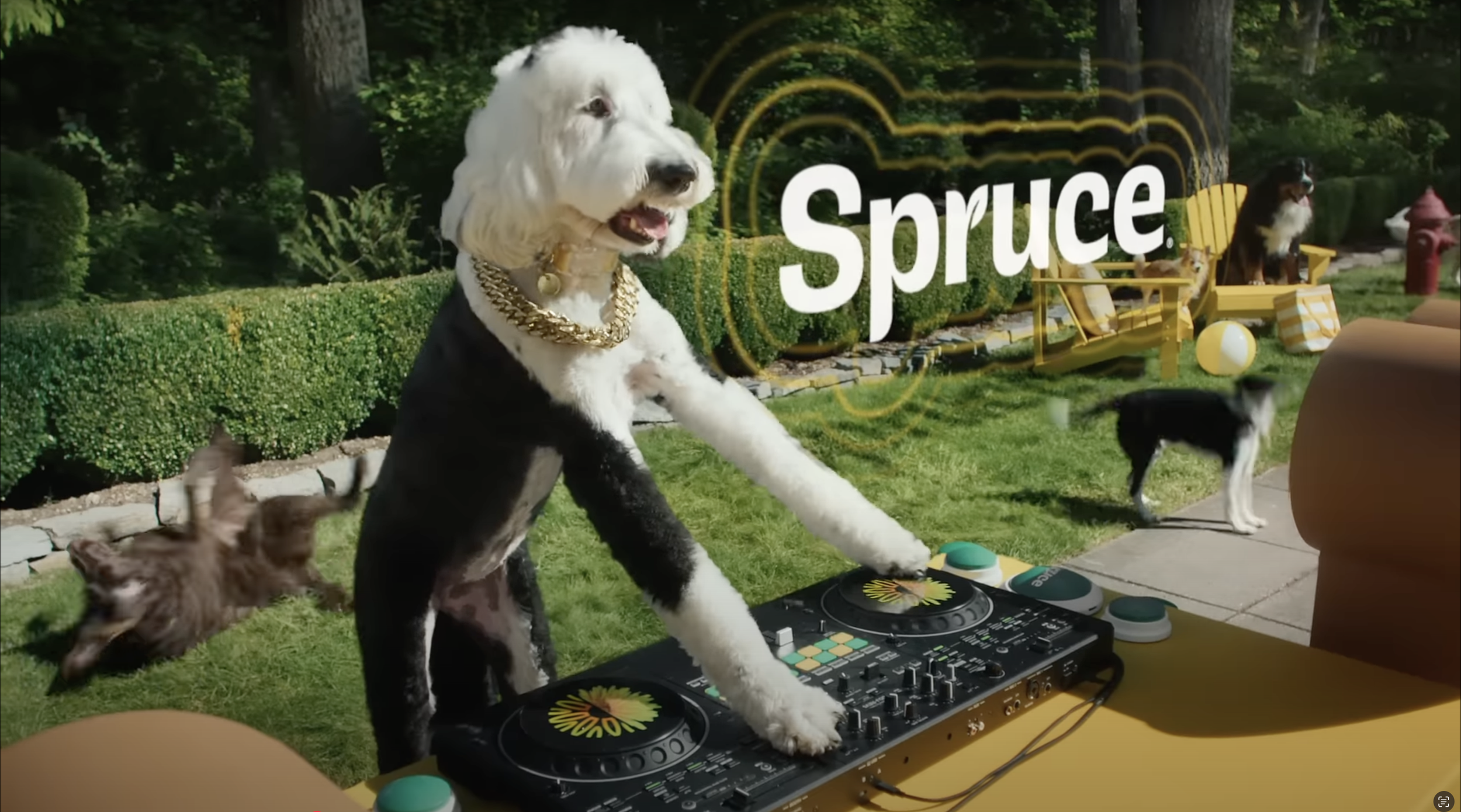 Screenshot 2025-04-01 at 10.51.45 pm.png