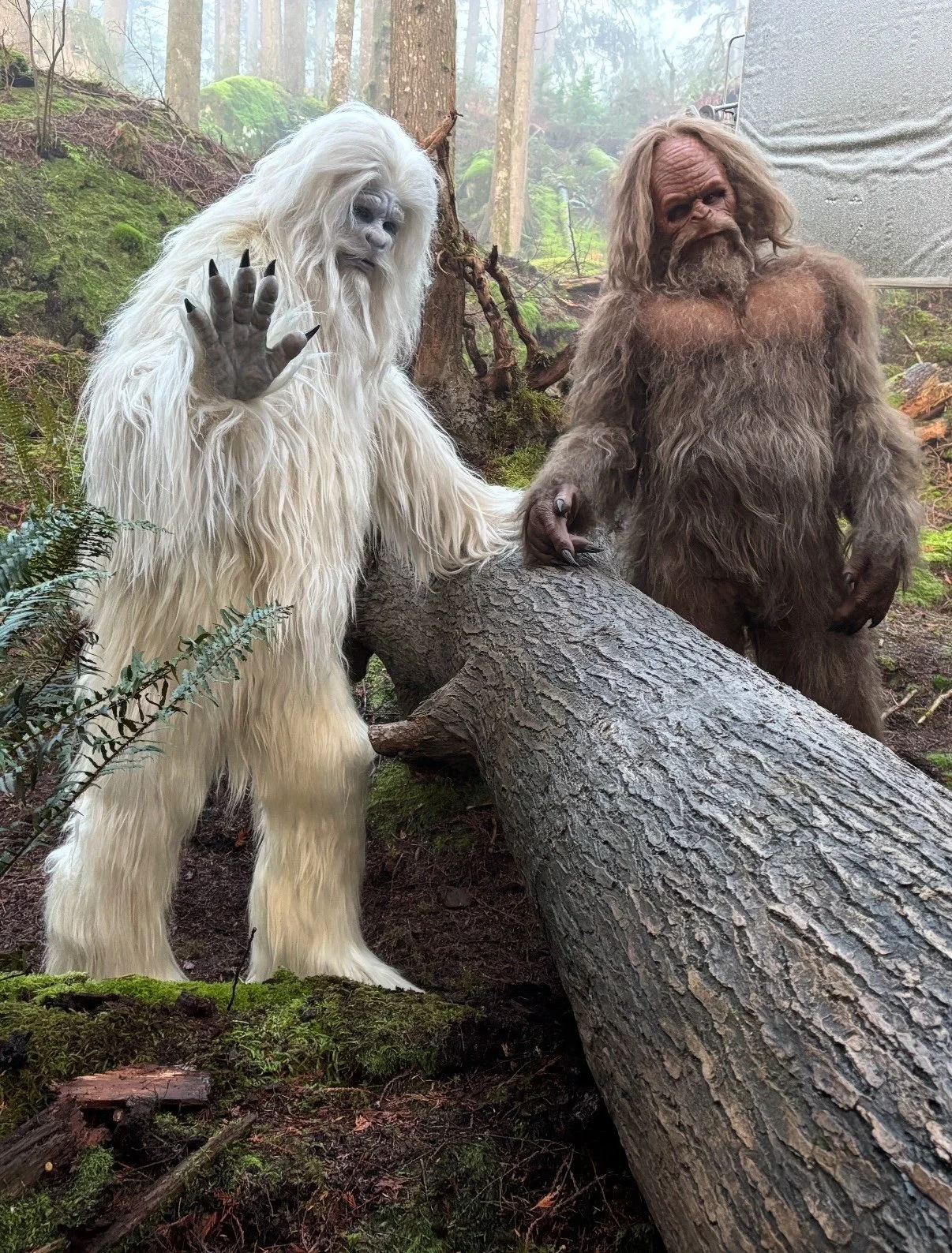 Screenshot 2024-12-04 at 3.18.43 PM.jpeg