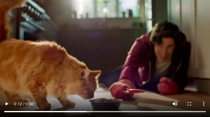 Screen Shot 2022-10-15 at 9.58.13 AM.png